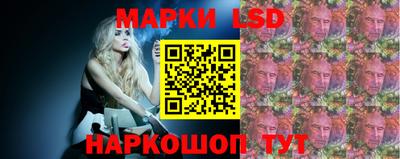 a pvp Бердск
