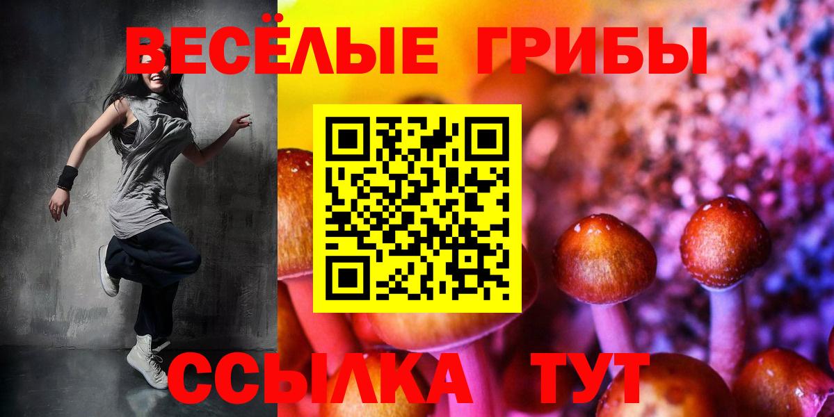 Псилоцибиновые грибы Psilocybe Карталы